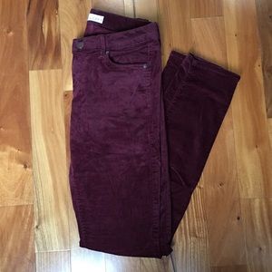 Loft Modern Skinny Velvety Cordoroy Pants